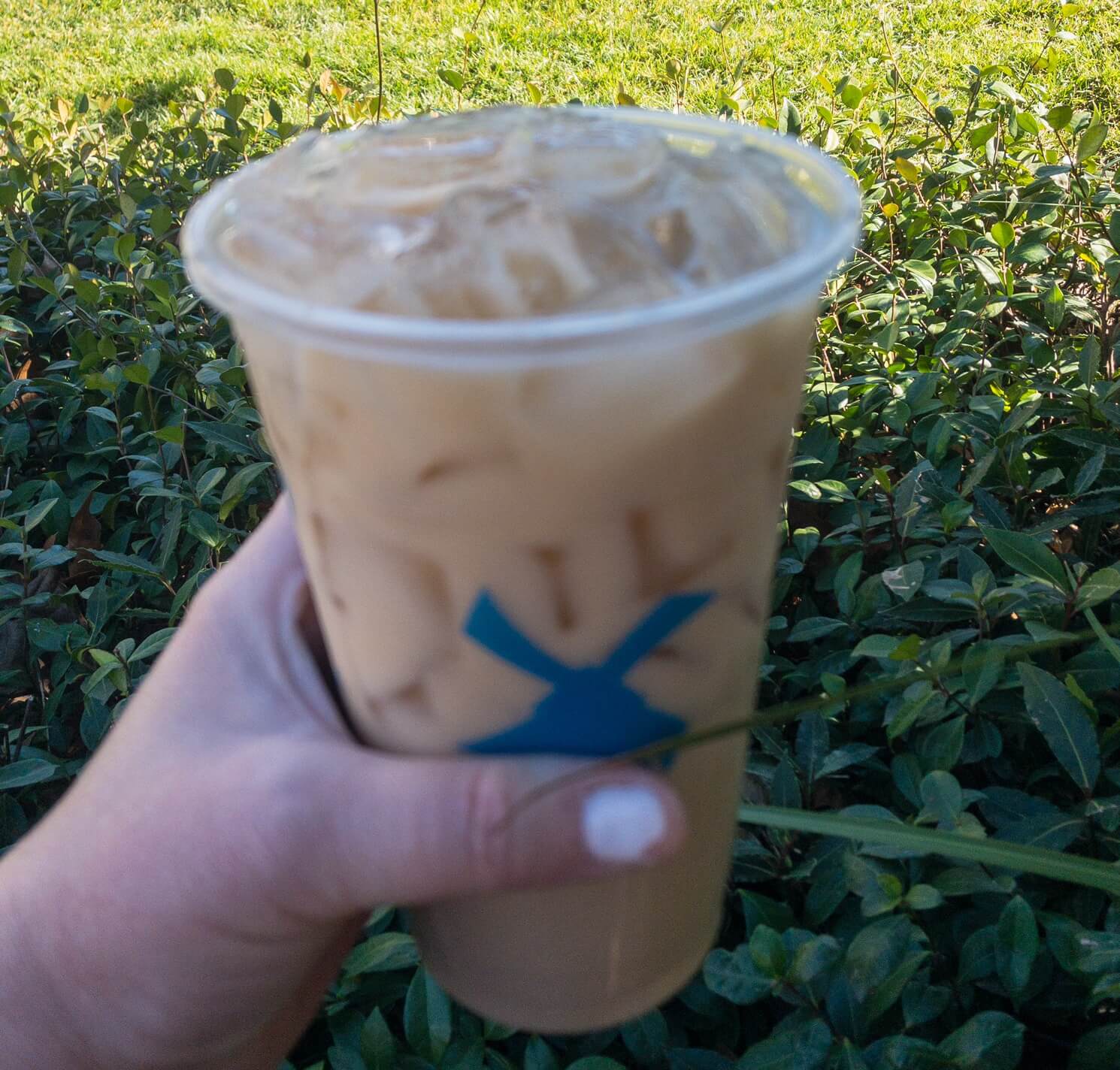 Tastes Like Christmas Morning This Is The Best Chai Drink at Dutch