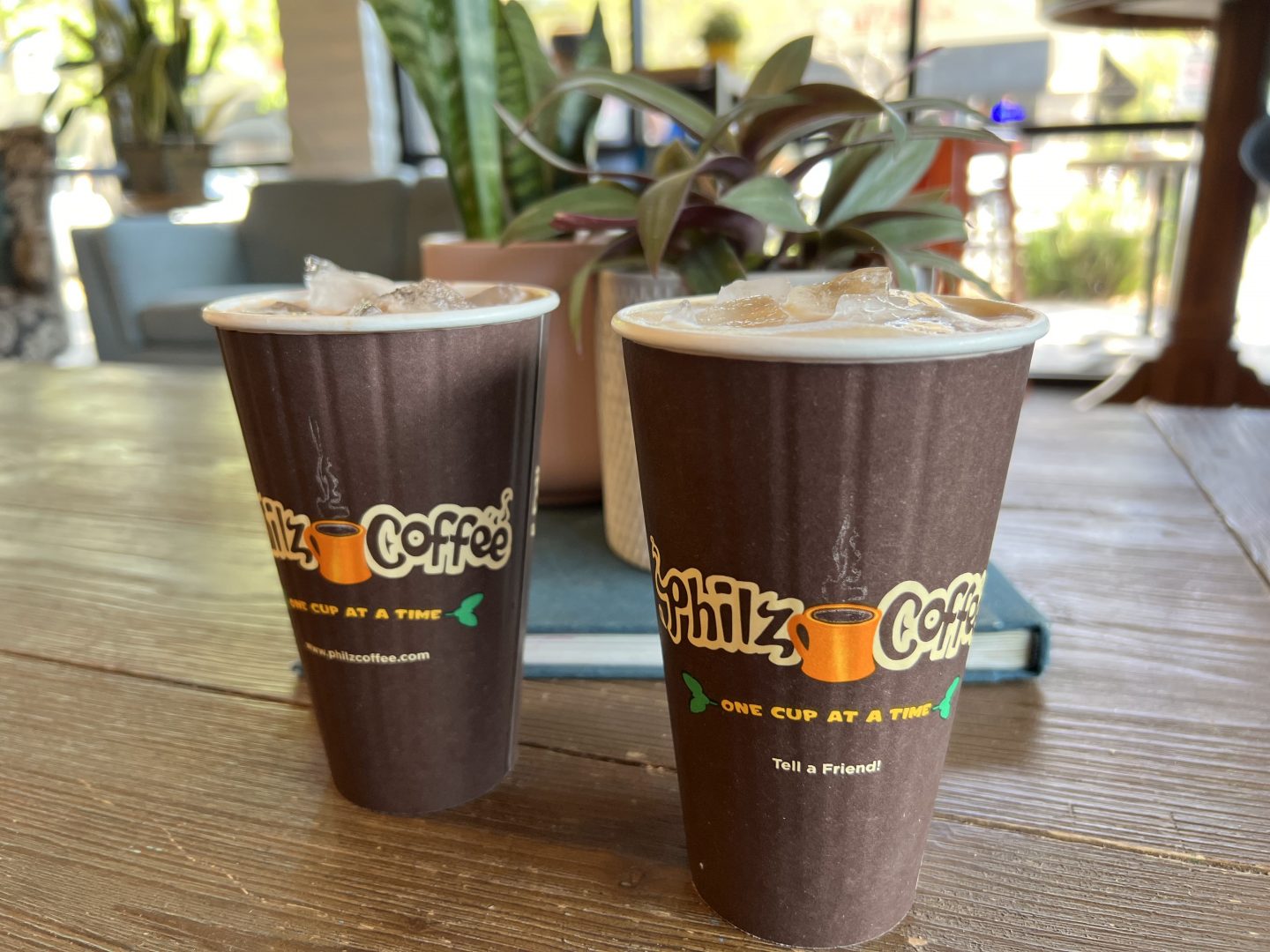 philz coffee drinks