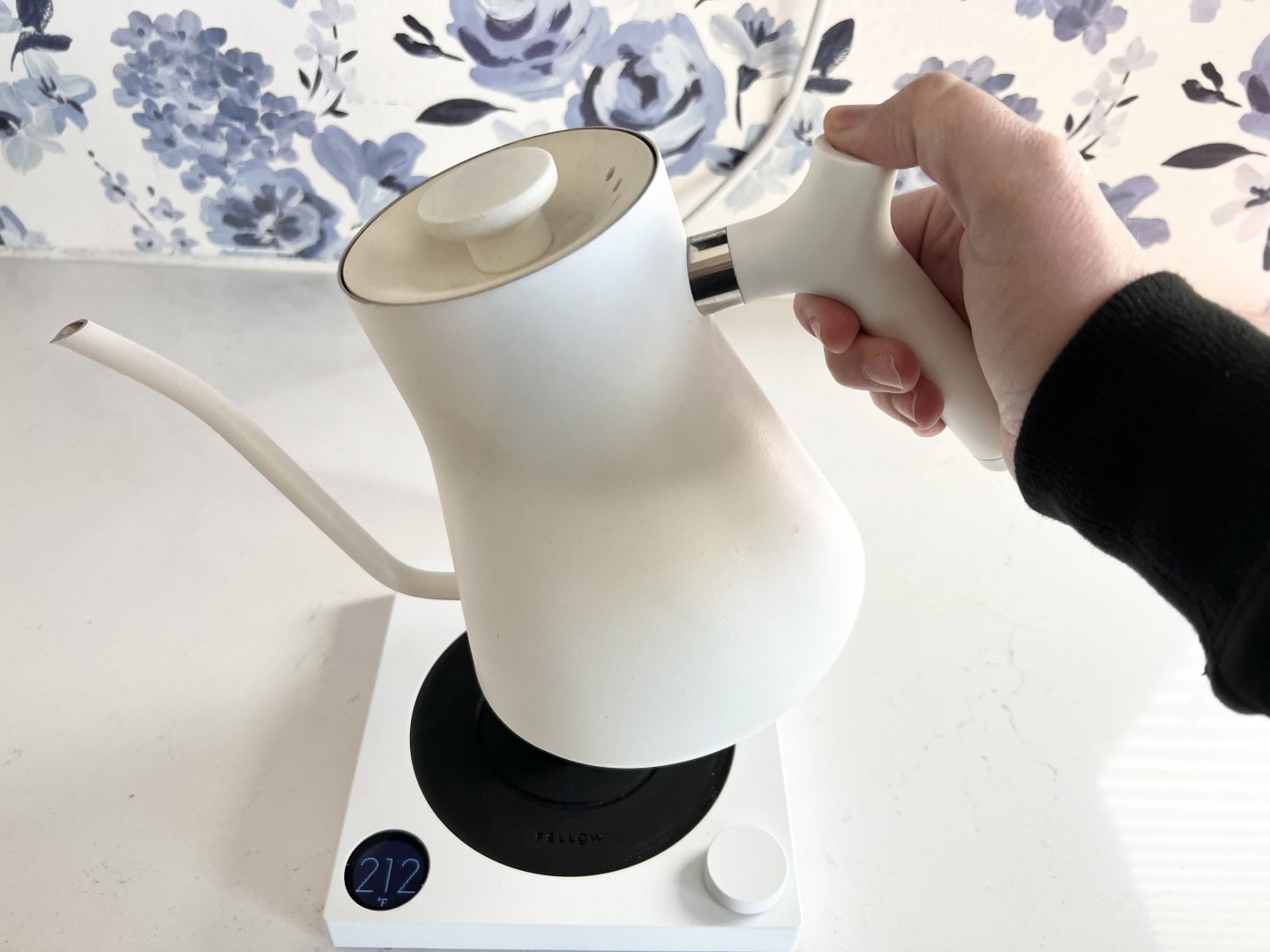 fellow stagg ekg electric kettle review