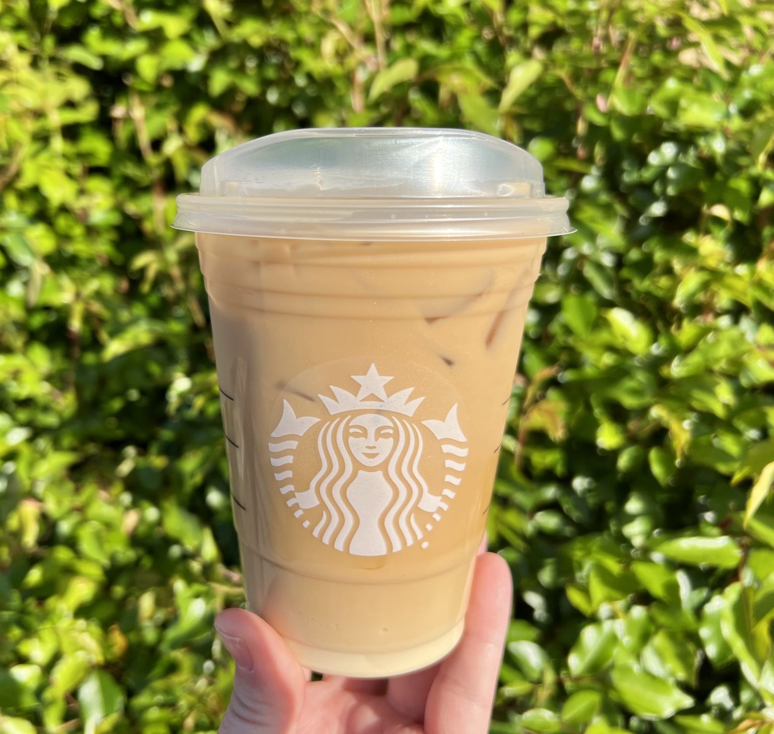 All About the Vanilla Sweet Cream Cold Brew The BEST Cold Brew Drink