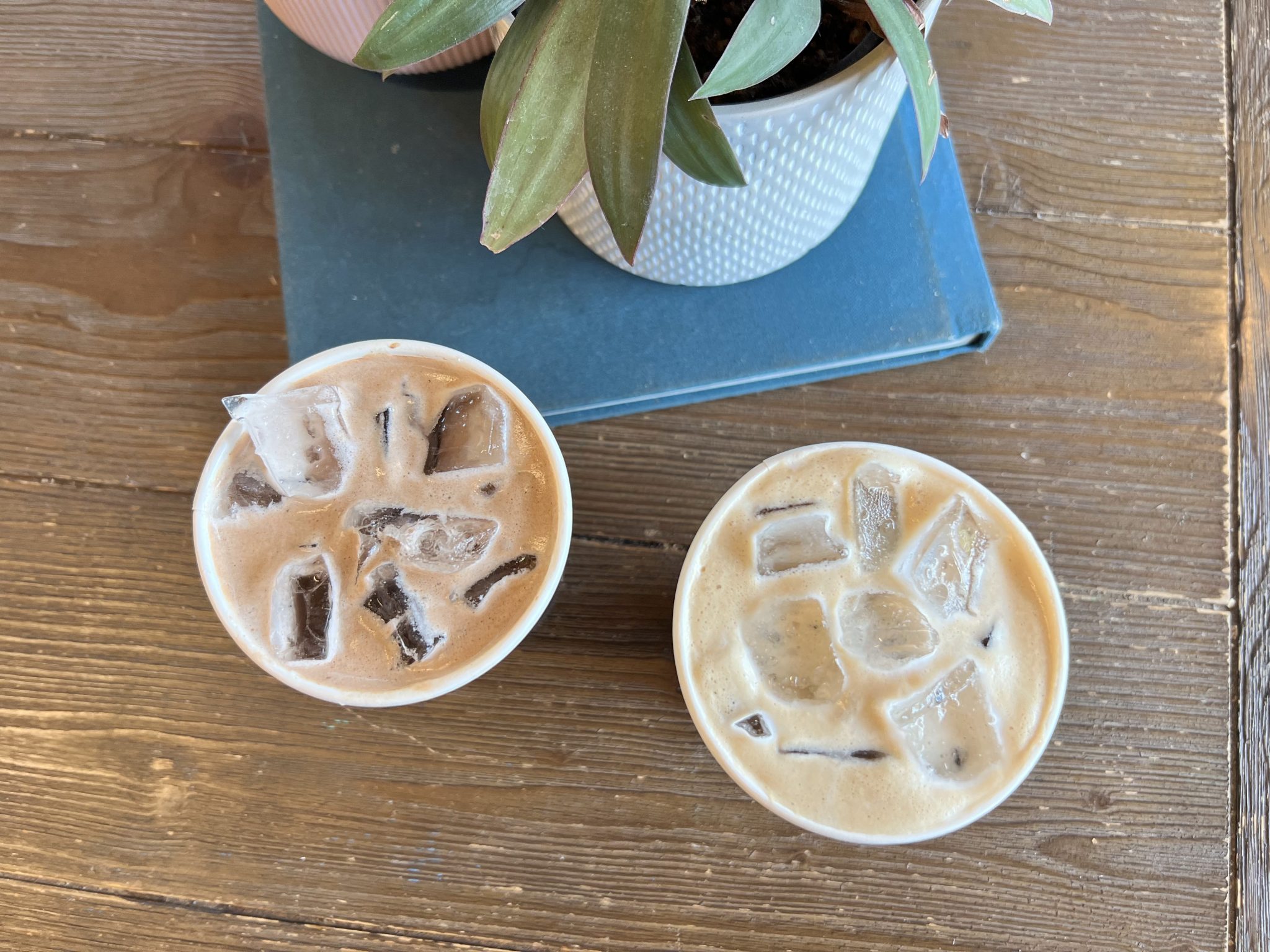 5 Delicious Philz Coffee Drinks You’ve Got To Try What The Froth