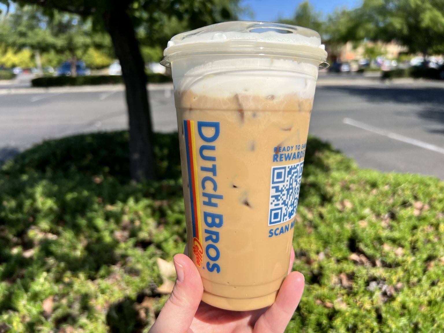 8 Best Dutch Bros Cold Brew Coffee Drinks What The Froth