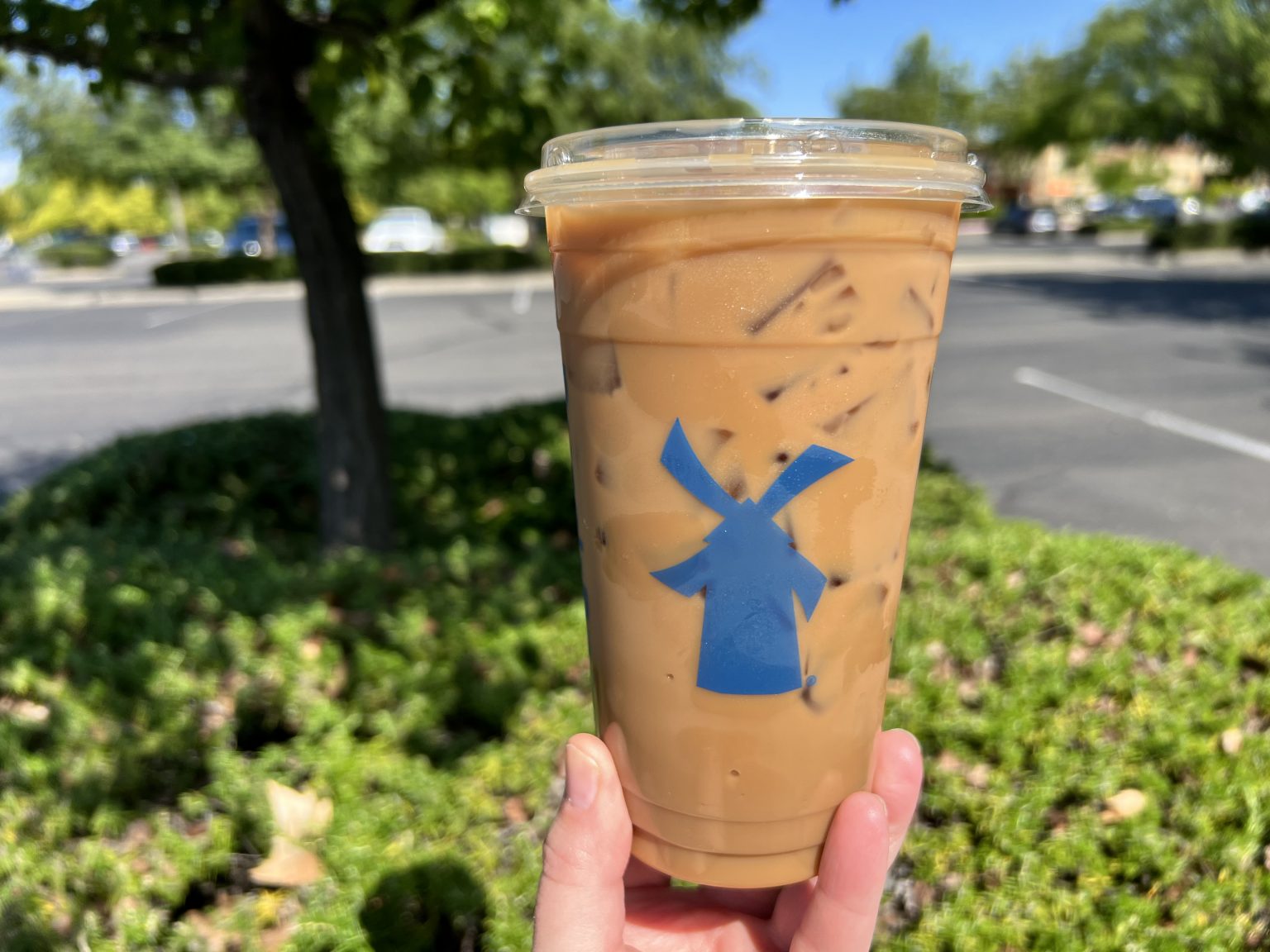 8 Best Dutch Bros Cold Brew Coffee Drinks What The Froth