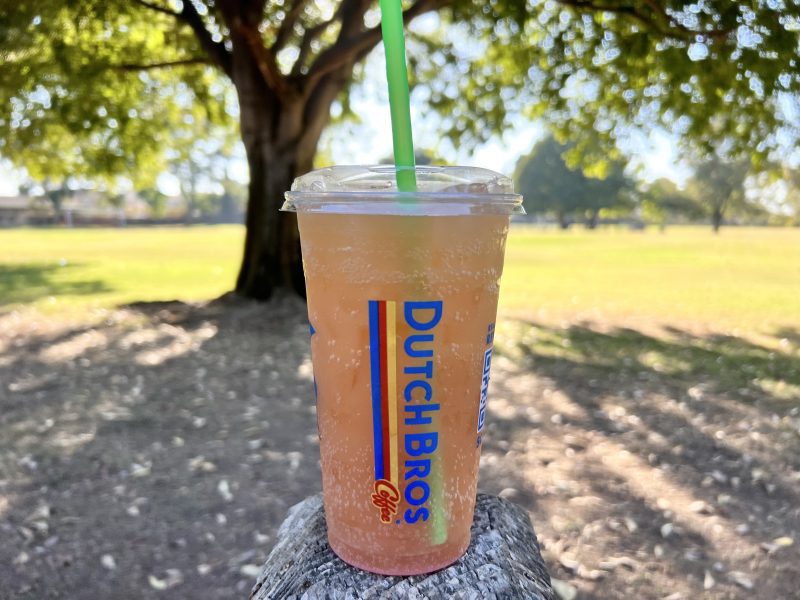 24 Dutch Bros Rebels You’ll Love + Secret Menu Drinks! What The Froth