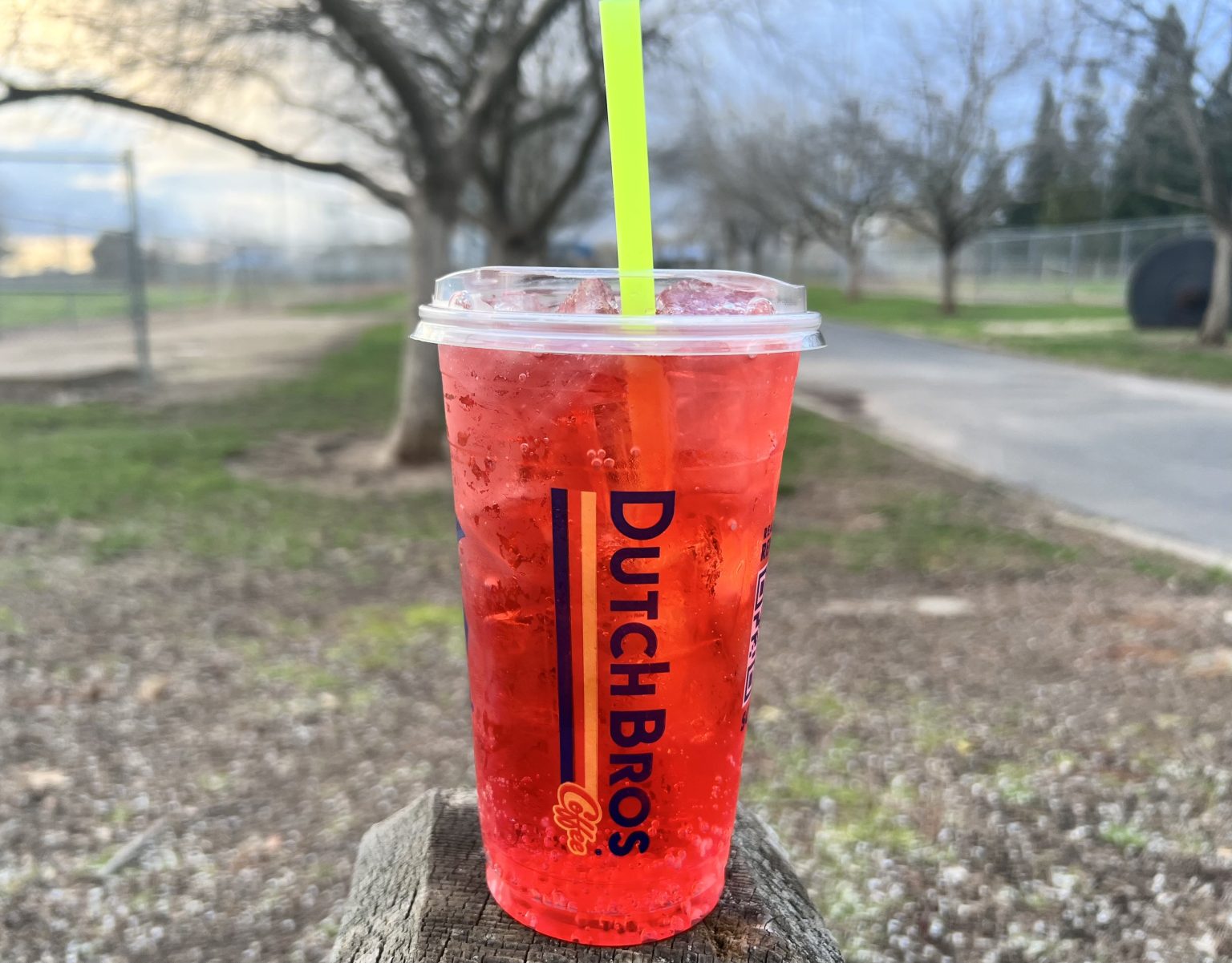 9 Best Dutch Bros Sodas (Italian Sodas) What The Froth