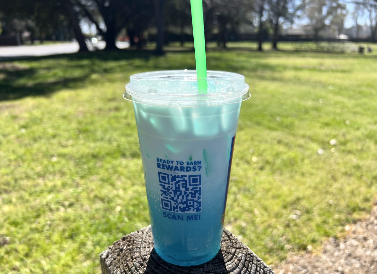 9 Best Dutch Bros Sodas (Italian Sodas) What The Froth